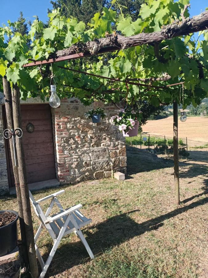 Agriturismo Podere La Selva Villa Serre Di Rapolano Dış mekan fotoğraf