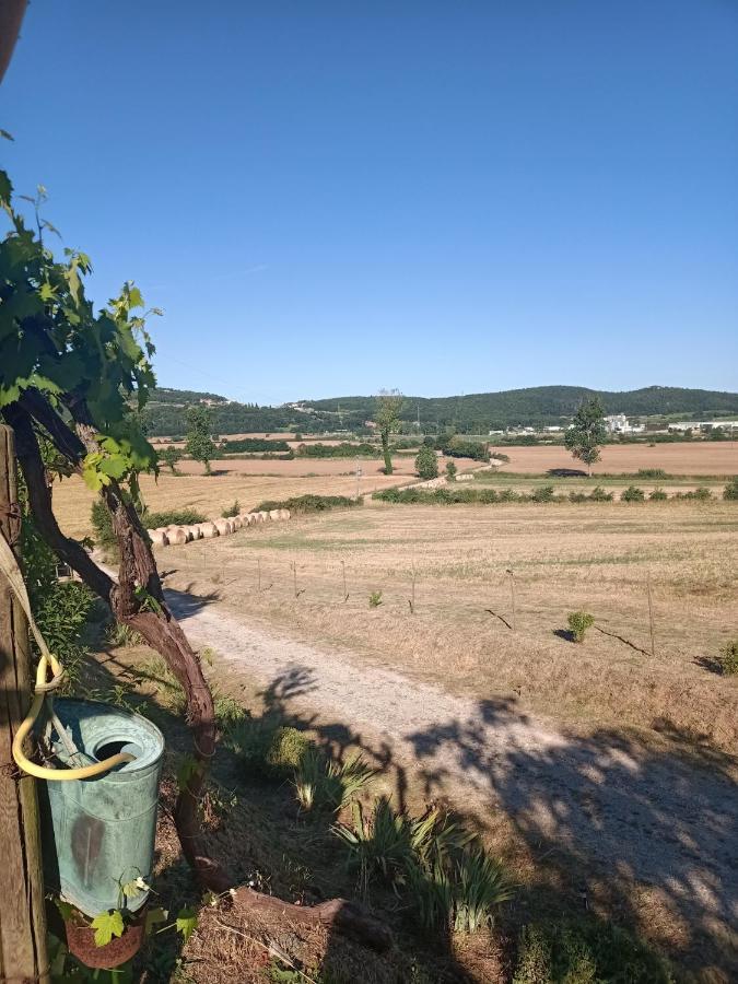 Agriturismo Podere La Selva Villa Serre Di Rapolano Dış mekan fotoğraf