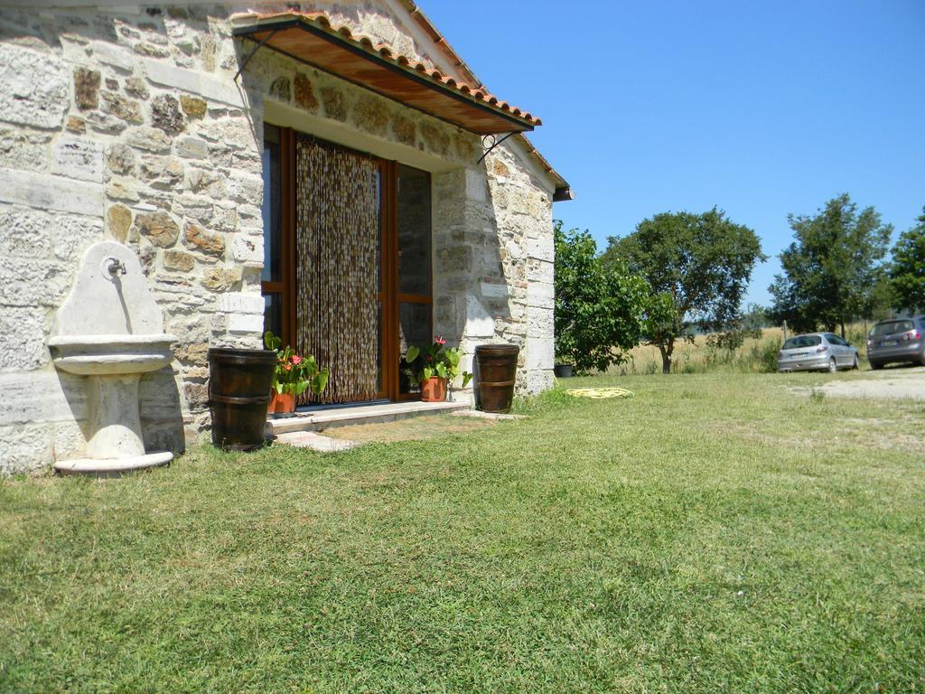 Agriturismo Podere La Selva Villa Serre Di Rapolano Dış mekan fotoğraf