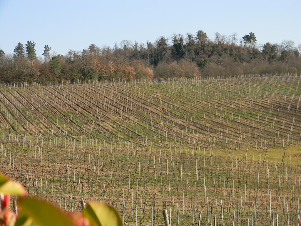 Agriturismo Podere La Selva Villa Serre Di Rapolano Dış mekan fotoğraf