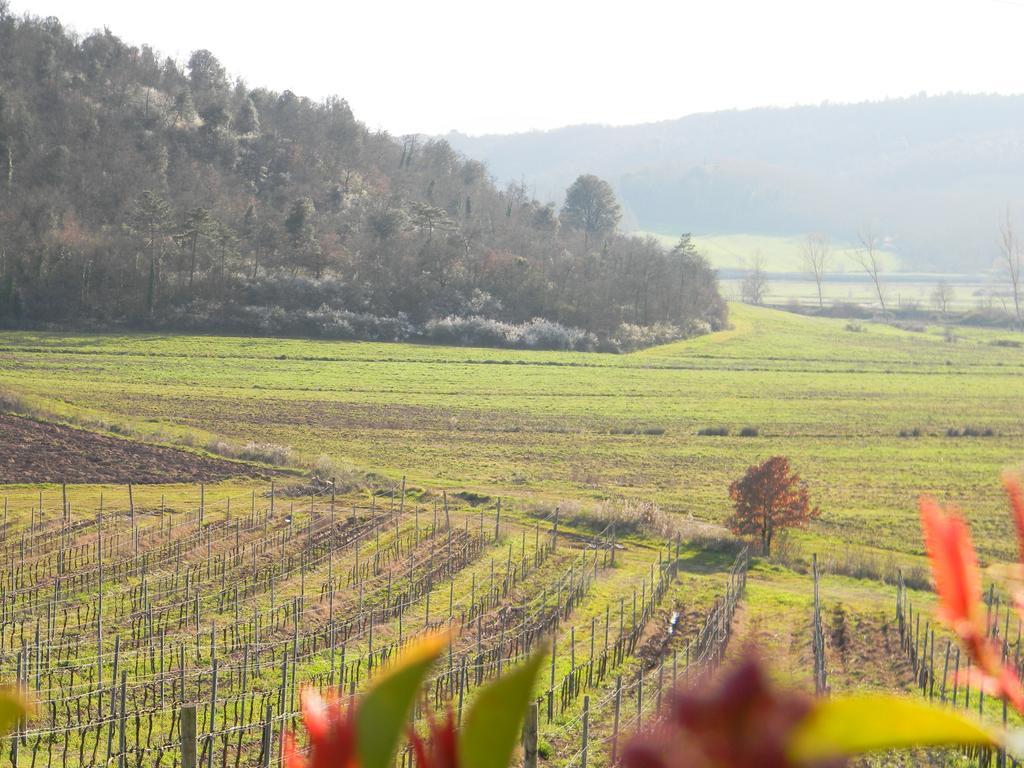 Agriturismo Podere La Selva Villa Serre Di Rapolano Dış mekan fotoğraf