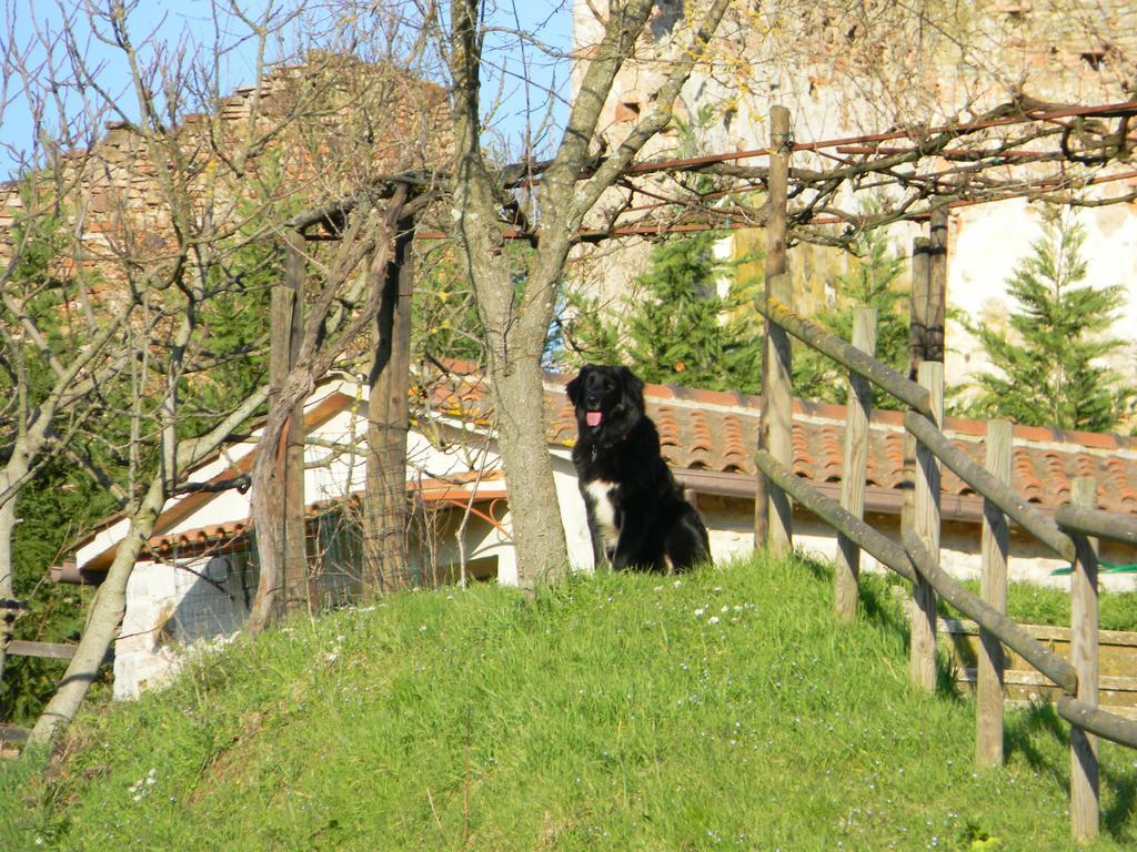 Agriturismo Podere La Selva Villa Serre Di Rapolano Dış mekan fotoğraf