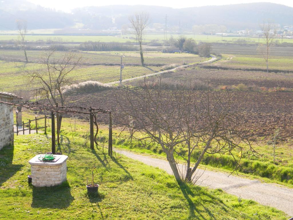 Agriturismo Podere La Selva Villa Serre Di Rapolano Dış mekan fotoğraf