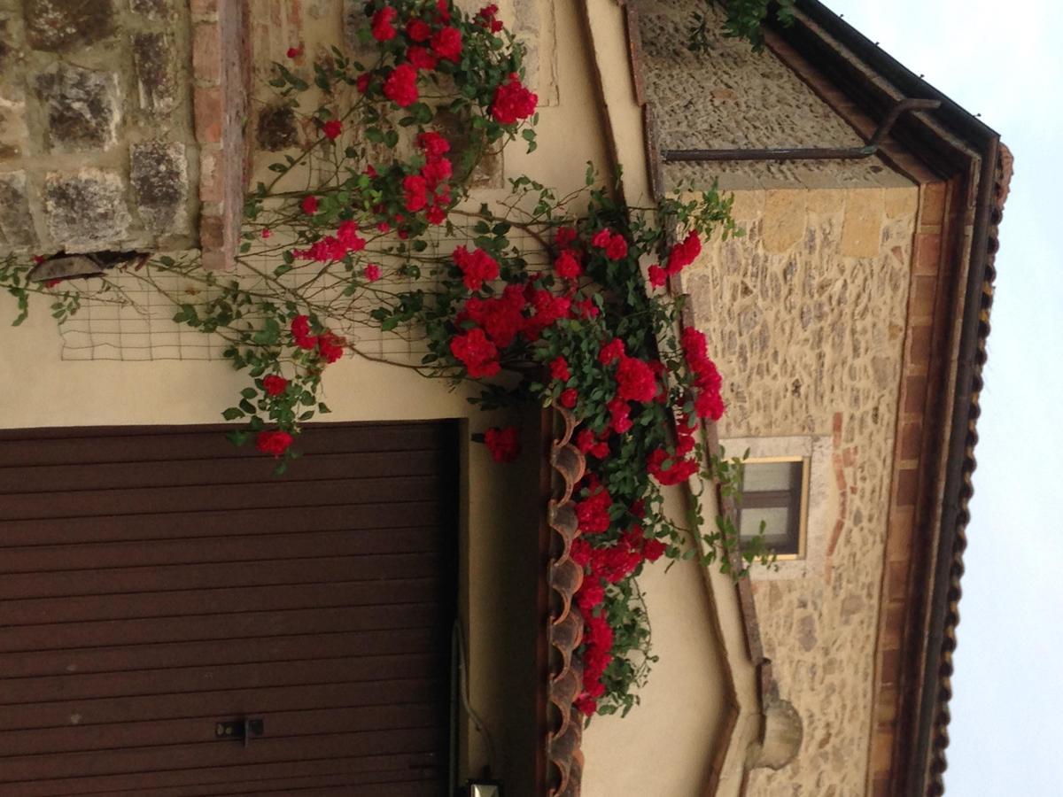 Agriturismo Podere La Selva Villa Serre Di Rapolano Dış mekan fotoğraf